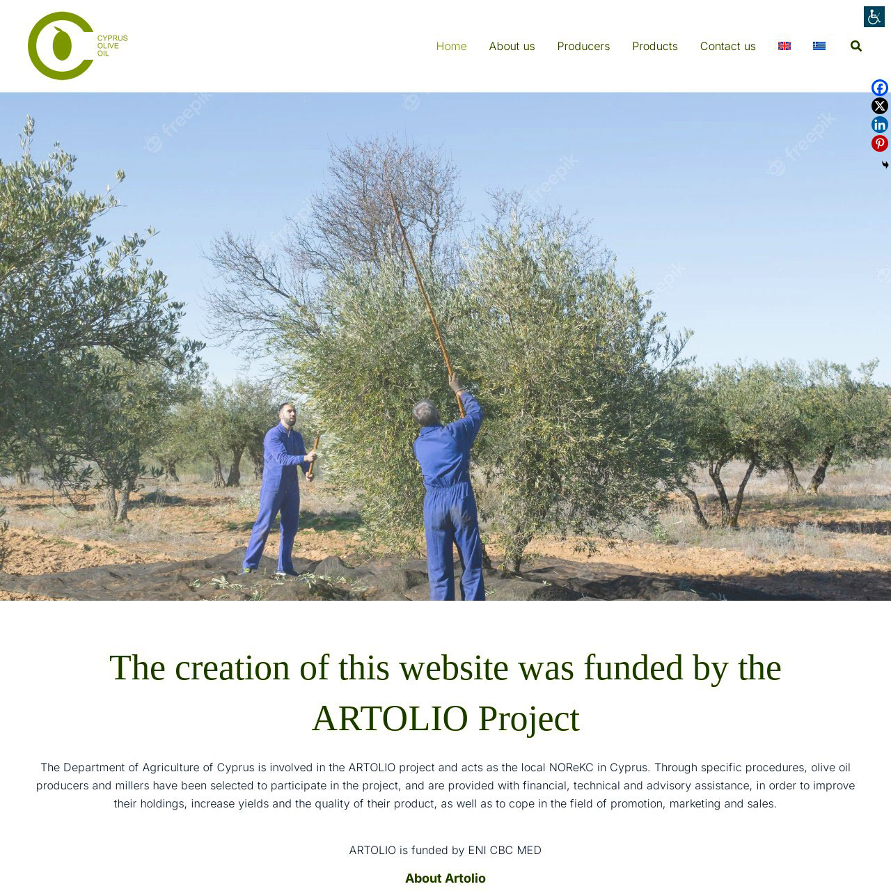 Cyprus Olive Oil