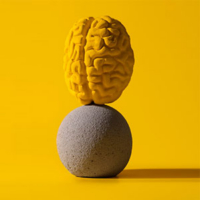 design 3